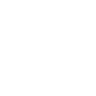 NMSDC Logo